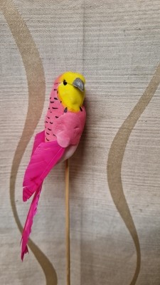 Budgie Picks