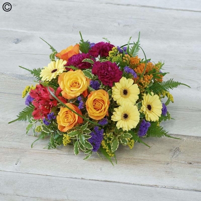 Bolds Brights Posy