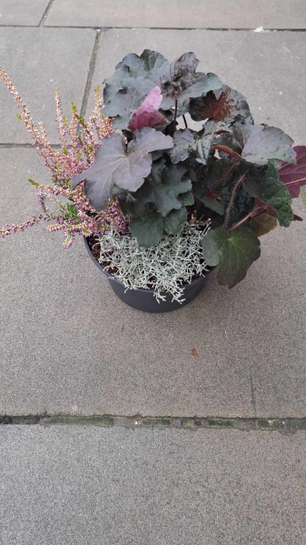 Autumn Planter