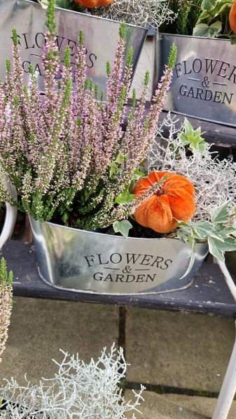 Autumnal Trio Planter