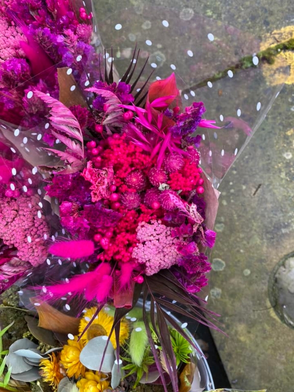 Hot Pink Dried Bunch