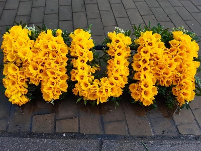 Mum in Daffodils