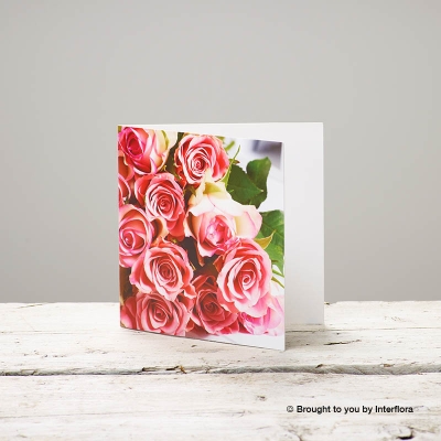 Pink rose card