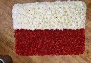 Polish flag