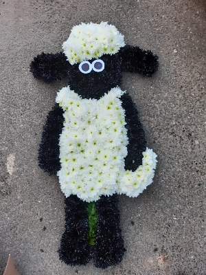 Shaun the sheep