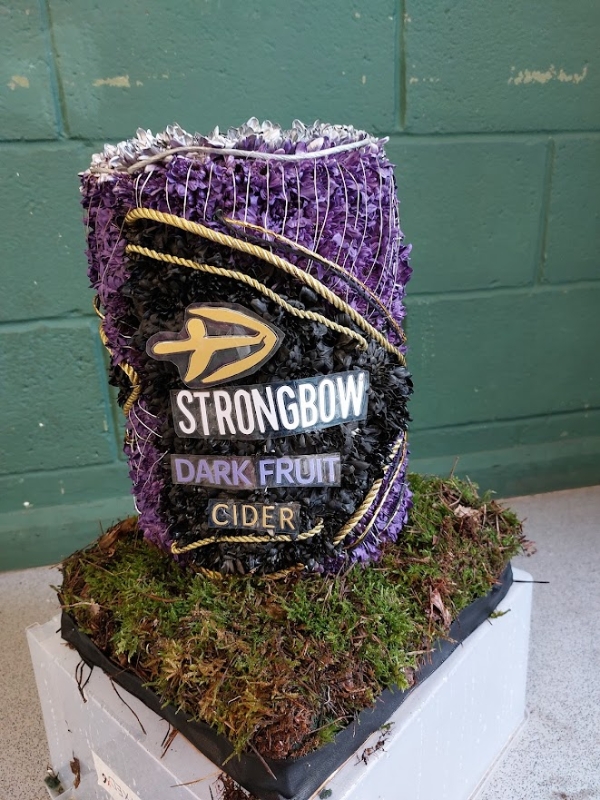 strongbow 3D can