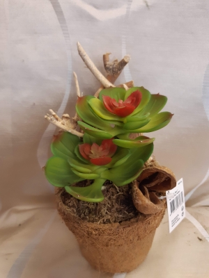 Succulent pot (artificial)