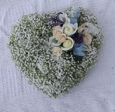 Gypsophilia heart