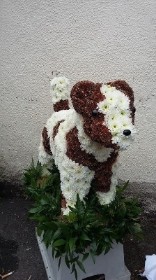 3D Dog tribute