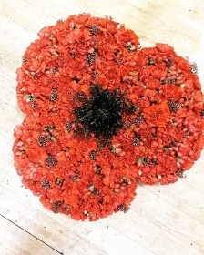 Poppy tribute