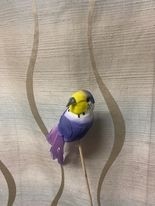 Budgie Picks