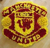 Manchester United Shield