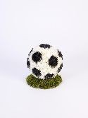 3 D Football