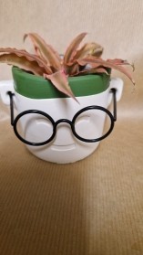 ''Planty'' Potter