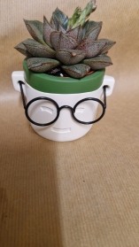 ''Planty'' Potter