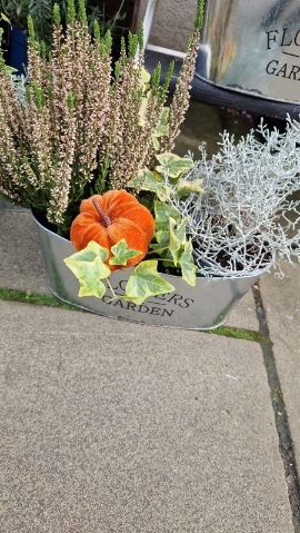 Autumnal Trio Planter