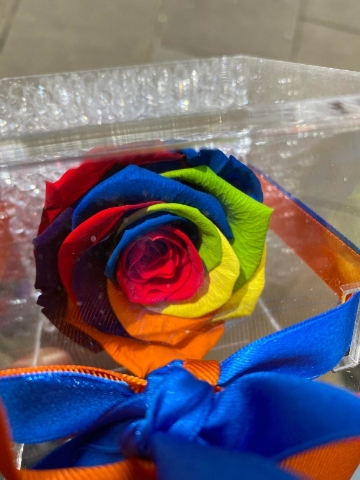 Forever Rainbow Rose