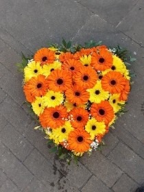 large gerbera heart