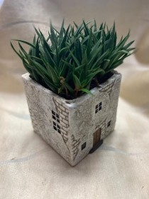 Mini Succulent House