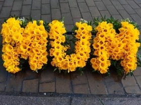 Mum in Daffodils