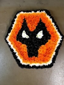 Wolverhampton Wanderers sheild